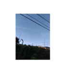 空空空‼️（個別スタンプ：6）