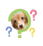 チワックスのクッキーちゃんVersion3（個別スタンプ：9）