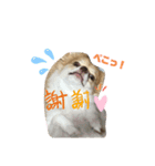 ココ助の気持ち♡（個別スタンプ：3）