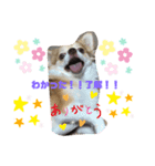 ココ助の気持ち♡（個別スタンプ：8）