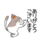 紙ペラにゃんこ 敬語（個別スタンプ：14）