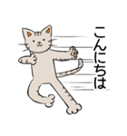 紙ペラにゃんこ 敬語（個別スタンプ：33）