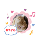 白黒猫の雫ちゃんと茶トラ猫のテオくん☆7（個別スタンプ：11）