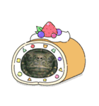ぼくカメキチ Part3（個別スタンプ：33）