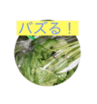 畑活、ハタカツ3（個別スタンプ：7）