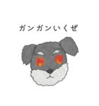 ミニチュアシュナウザーマロン（個別スタンプ：3）