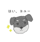 ミニチュアシュナウザーマロン（個別スタンプ：7）