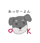 ミニチュアシュナウザーマロン（個別スタンプ：8）