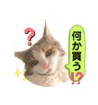 良く使う猫のナナスタンプ（個別スタンプ：3）