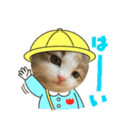 良く使う猫のナナスタンプ（個別スタンプ：23）