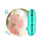 良く使う猫のナナスタンプ（個別スタンプ：32）