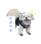 ご近所むぎちゃんの日常（個別スタンプ：2）