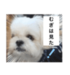ご近所むぎちゃんの日常（個別スタンプ：13）