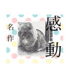 短足マンチカンのクリスタちゃん♀5（個別スタンプ：10）