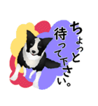 ボーダーコリー犬のジョン（個別スタンプ：33）