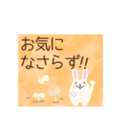 白うさちゃん／敬語スタンプ（個別スタンプ：12）