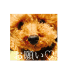 くうちゃんvr.2（個別スタンプ：1）