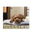 くうちゃんvr.2（個別スタンプ：4）