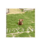 くうちゃんvr.2（個別スタンプ：5）