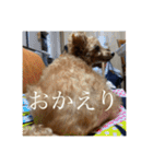 くうちゃんvr.2（個別スタンプ：16）