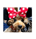 くうちゃんvr.2（個別スタンプ：25）