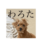 くうちゃんvr.2（個別スタンプ：27）
