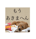 くうちゃんvr.2（個別スタンプ：28）