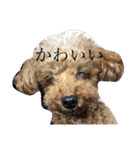 くうちゃんvr.2（個別スタンプ：40）