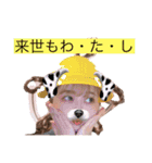 リコちゃんのリアコは買うしかなくない！？（個別スタンプ：16）
