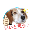 うしおのきもちスタンプ①（個別スタンプ：1）