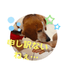 うしおのきもちスタンプ①（個別スタンプ：7）