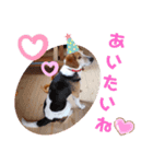 うしおのきもちスタンプ①（個別スタンプ：8）