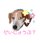 うしおのきもちスタンプ②（個別スタンプ：4）
