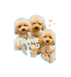 レオンfamily（個別スタンプ：2）