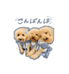 レオンfamily（個別スタンプ：3）