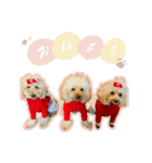 レオンfamily（個別スタンプ：6）