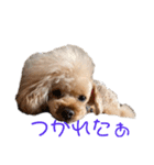 空が何か言っています（個別スタンプ：6）