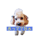 空が何か言っています（個別スタンプ：8）