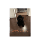 ゆずYA（個別スタンプ：3）