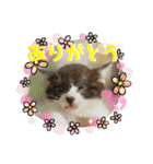 KumaKikiDâ20210613（個別スタンプ：11）