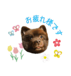 KumaKikiDâ20210613（個別スタンプ：13）