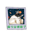 KumaKikiDâ20210613（個別スタンプ：15）