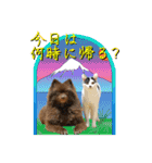 KumaKikiDâ20210613（個別スタンプ：16）