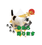 KumaKikiDâ20210613（個別スタンプ：17）