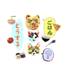KumaKikiDâ20210613（個別スタンプ：18）