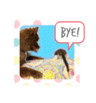 KumaKikiDâ20210613（個別スタンプ：32）