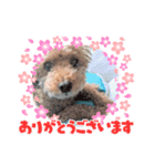 ティトス（個別スタンプ：4）