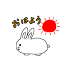 まるまるうさぎさん（個別スタンプ：1）