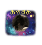 テンシンたつのり⑦（個別スタンプ：2）