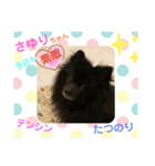 テンシンたつのり⑦（個別スタンプ：6）
